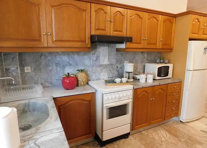 Apartamento A Bright Away From Parálion Ástros